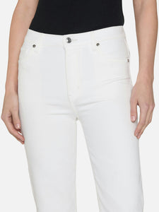 Le Sleek Straight