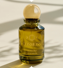 Load image into Gallery viewer, Surprise Grab Box-$500