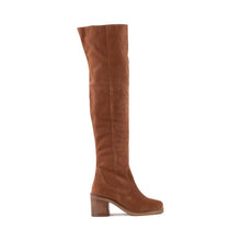Load image into Gallery viewer, Overheard Suede Boot
